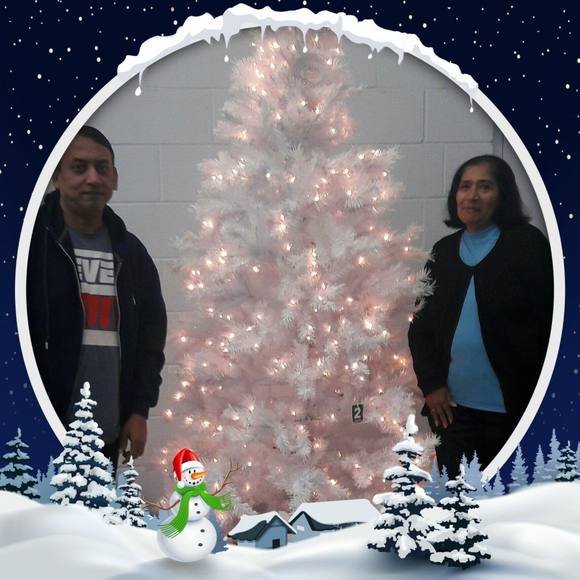 yogeshpatel66